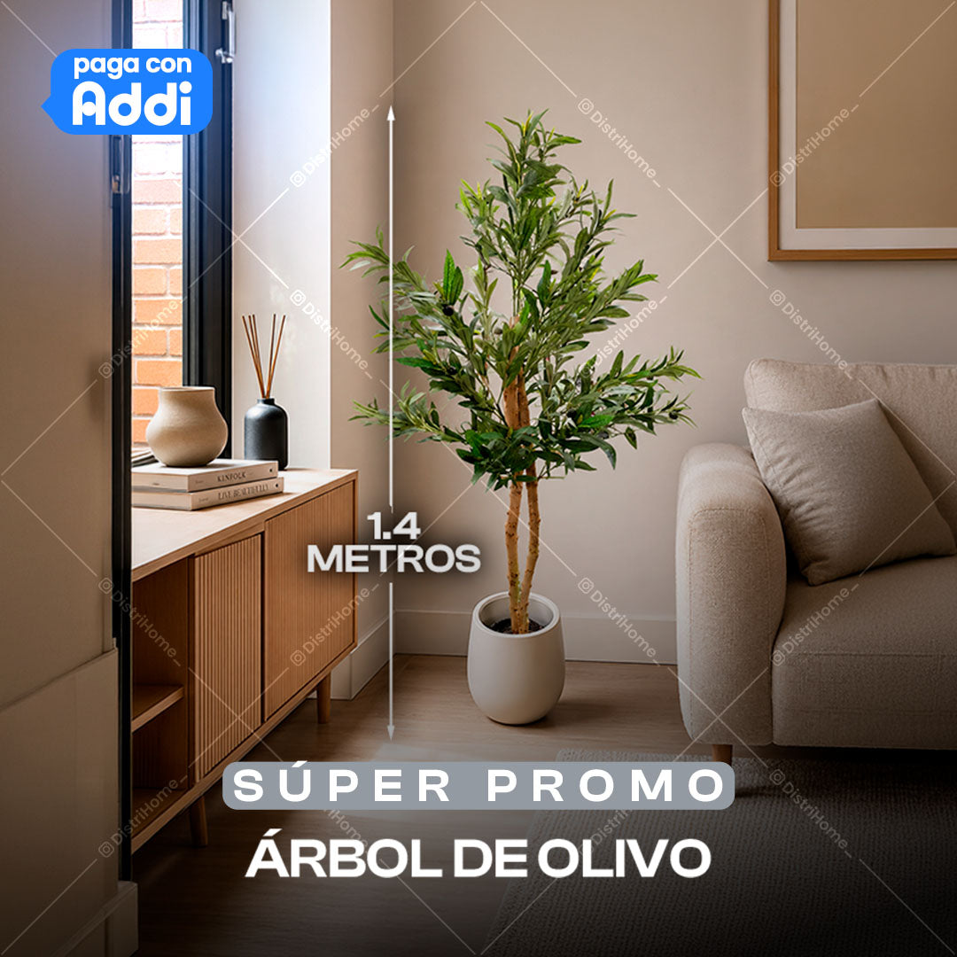 ARBOL DE OLIVO
