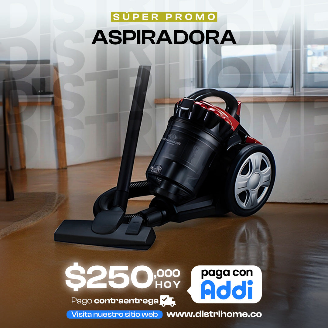 ASPIRADORA PROFESSIONAL