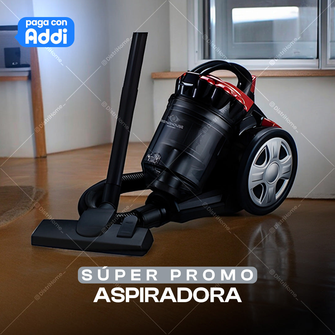 ASPIRADORA PROFESSIONAL