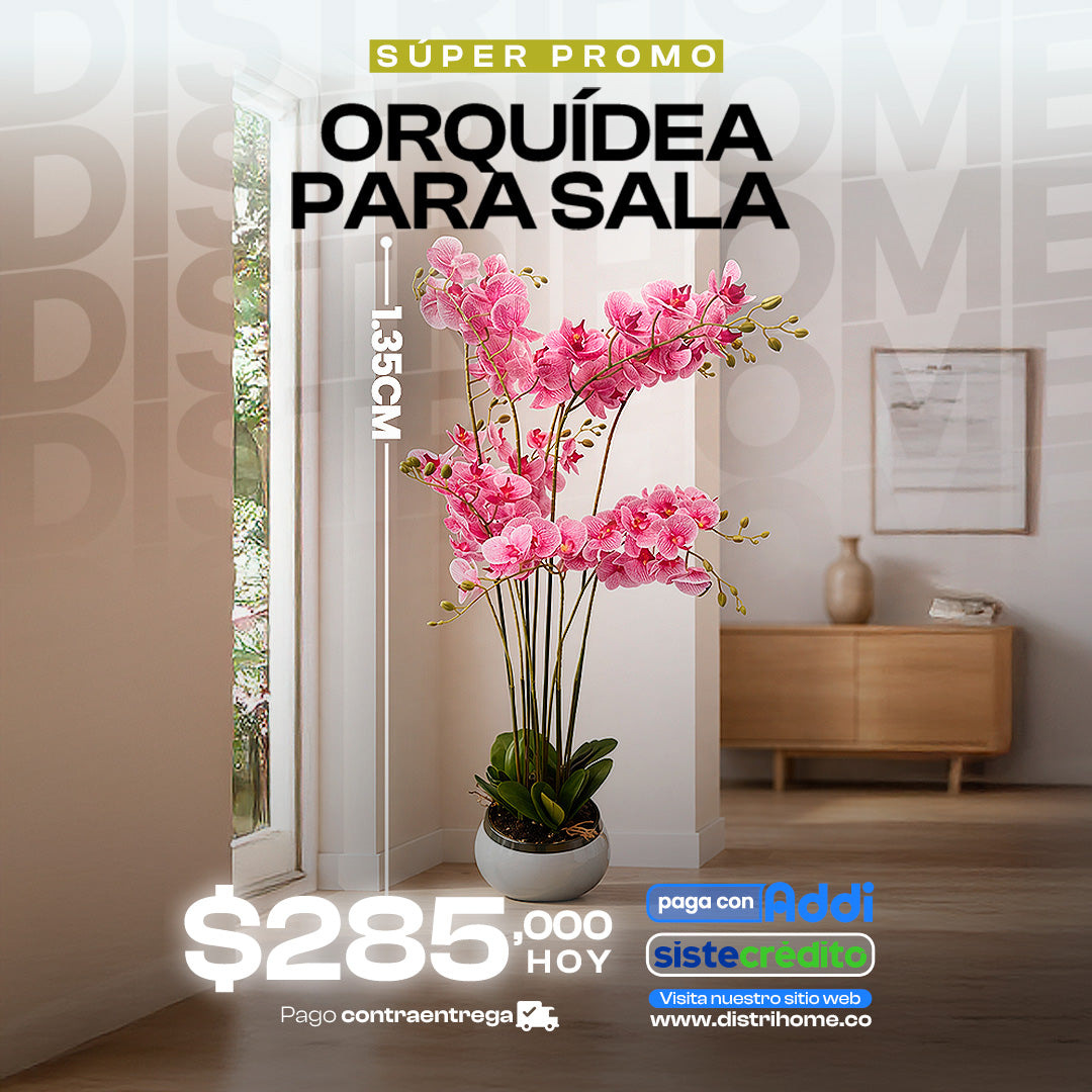 ORQUIDEA PASA SALA FLOR