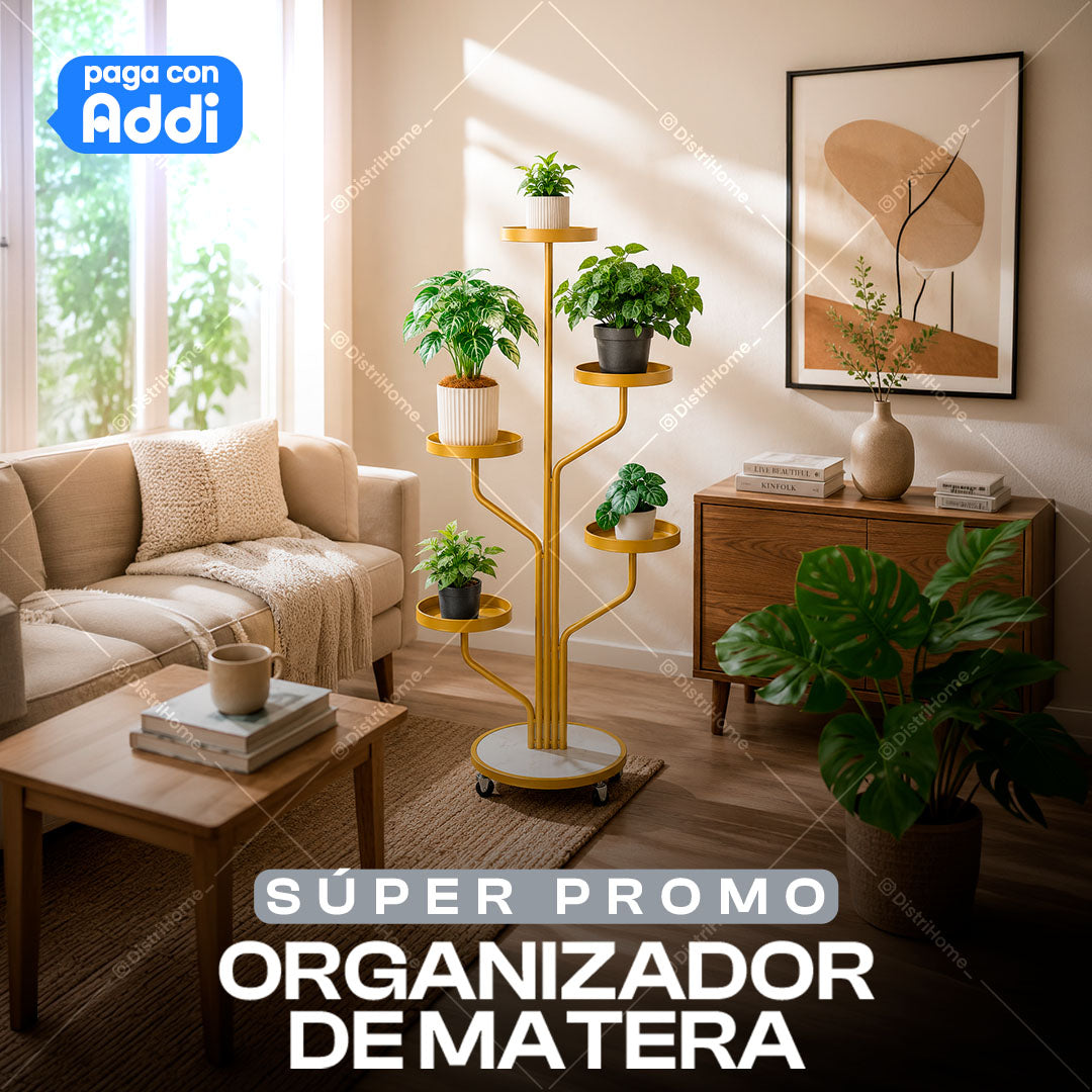 ORGANIZADOR MATERA (T)