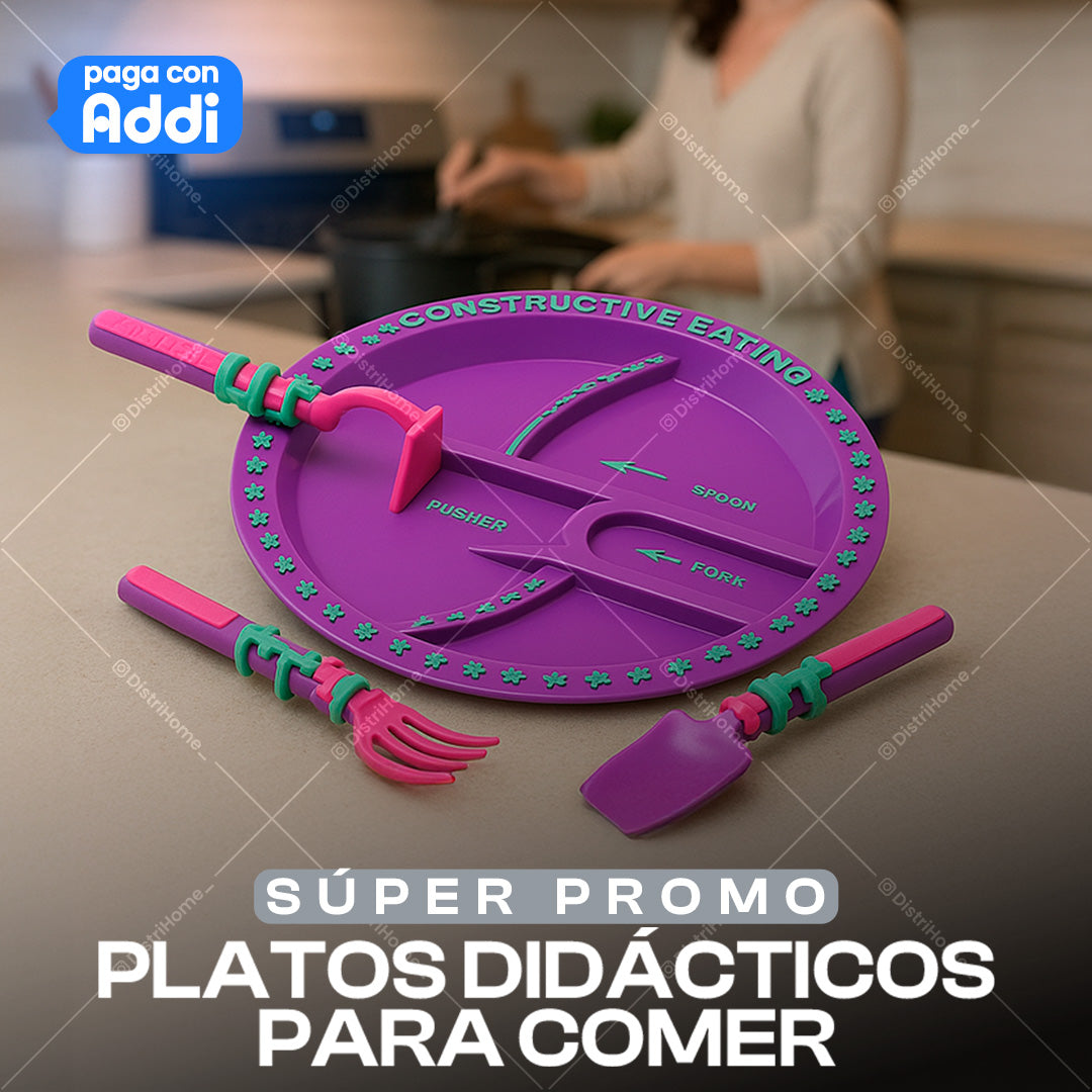 PLATOS DE COMIDA