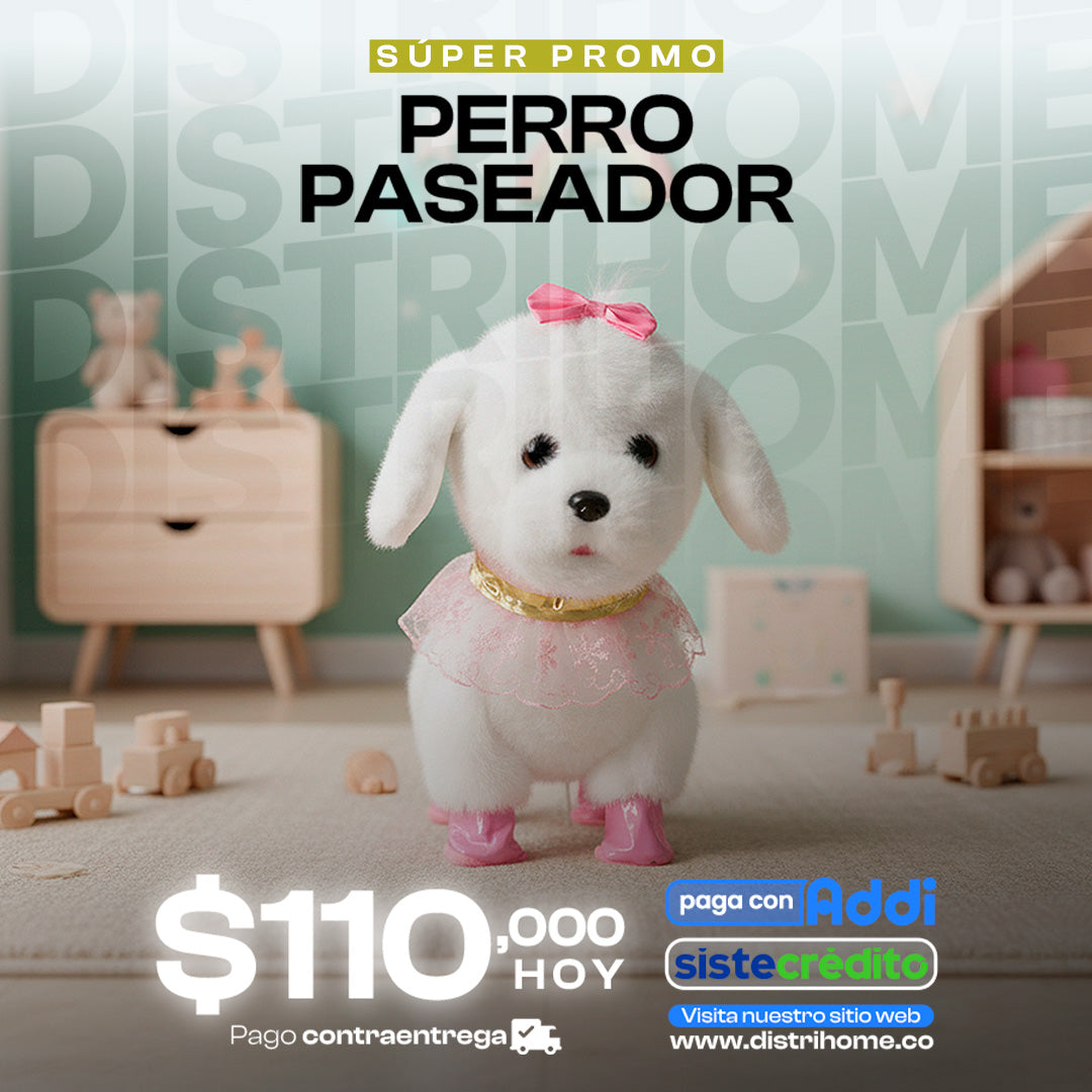 PERRO PASEADOR