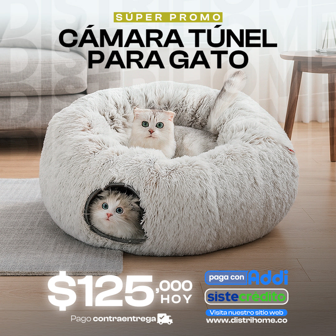 CAMA DE GATO