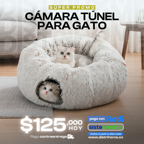 CAMA DE GATO