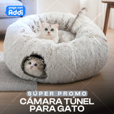 CAMA DE GATO