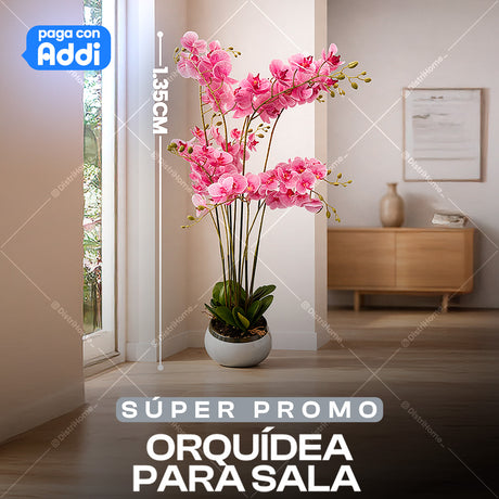 ORQUIDEA PASA SALA FLOR