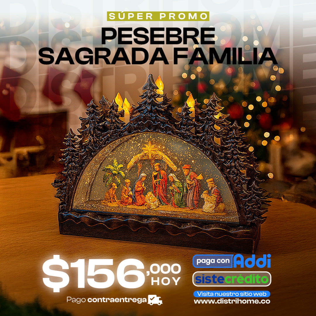 PESEBRE SAGRADA FAMILIA