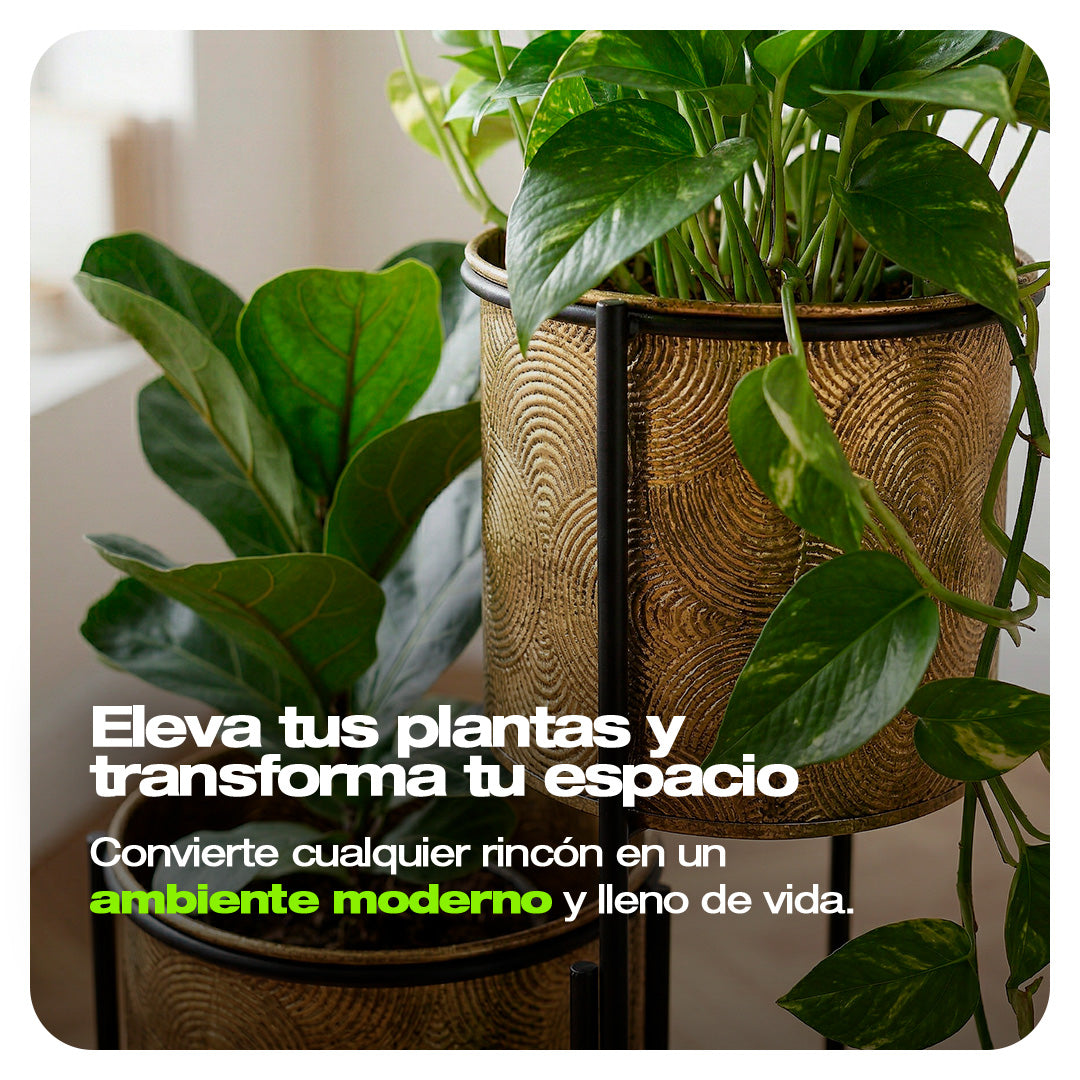 ORGANIZADOR DE PLANTAS METALICO 3 NIVELES DISEÑO 1