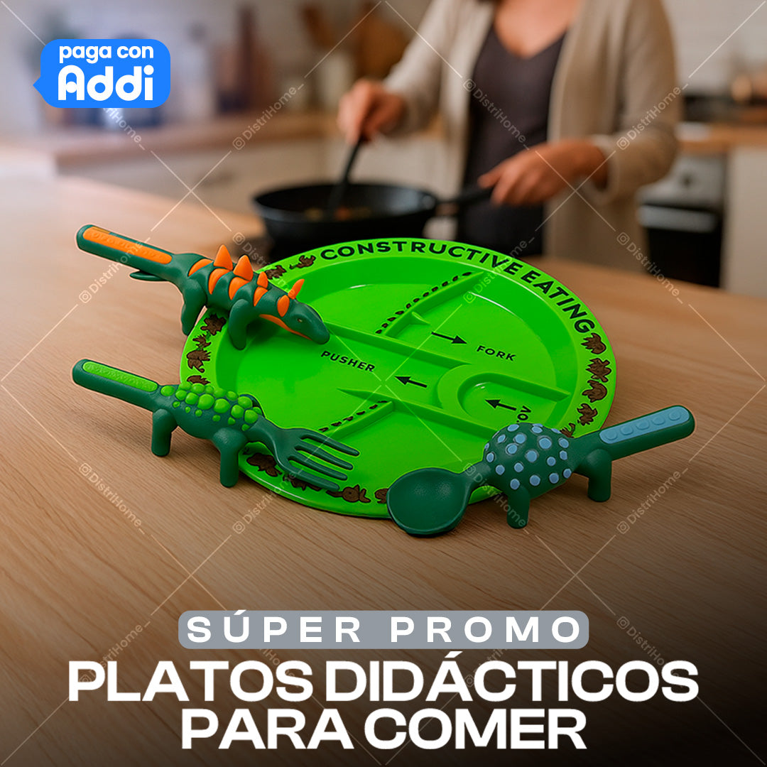 PLATOS DE COMIDA
