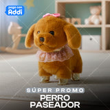 PERRO PASEADOR