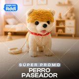 PERRO PASEADOR