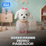 PERRO PASEADOR
