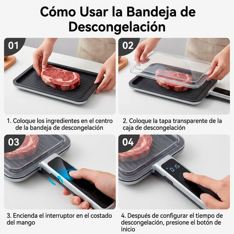 DESCONGELADOR DE CARNES