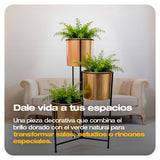 MATERA PLEGABLE 3 NIVELES